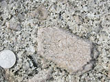 図：カリ長石斑晶