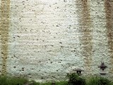 図：軽石火山礫凝灰岩(大谷石)
