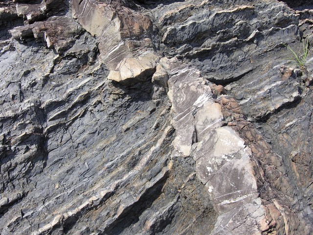 図：砕屑岩脈