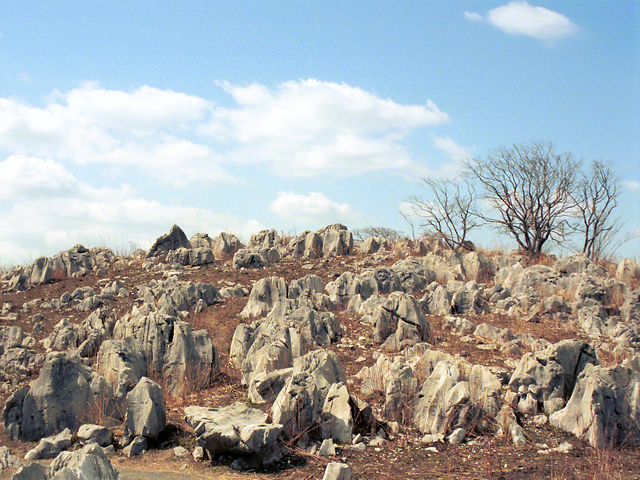 図：石灰岩