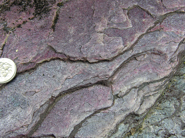図：紅れん石石英片岩