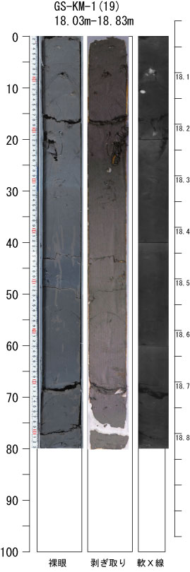 ������-19