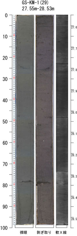 ������-29