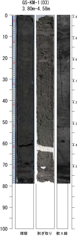 ボーリングコア　地質　まとめ売り 製品情報 | 株式会社コアーパック