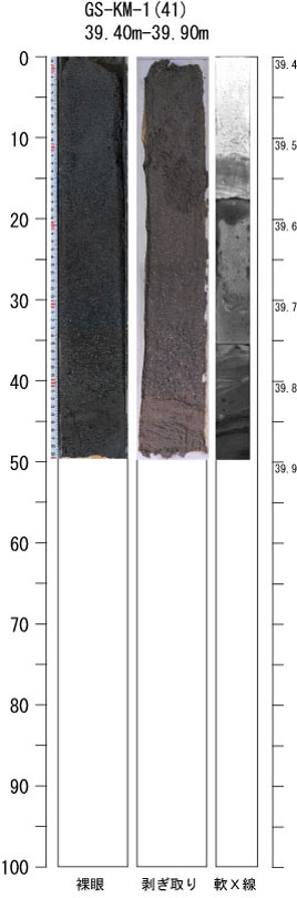 ������-41