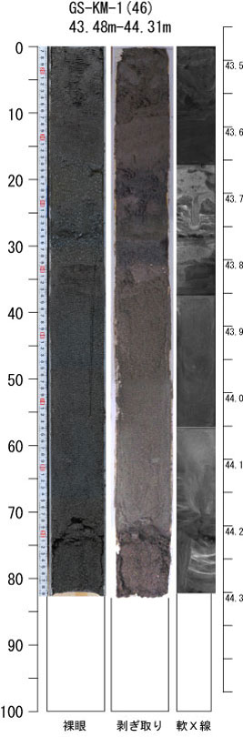 ������-46