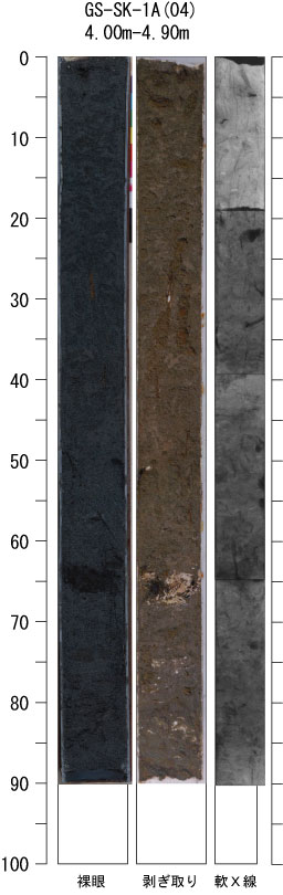 ボーリングコア画像～草加コア～