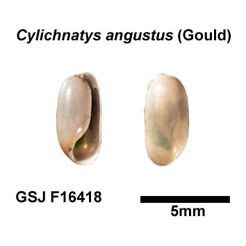 �J�~�X�W�J�C�R�K�C�_�}�V