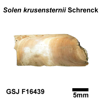 �G�]�}�e�K�C