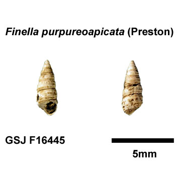 �V�}���c�{