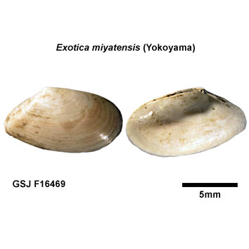 �j�N�C���U�N��