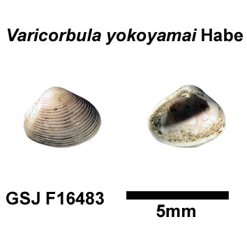 �}���N�`�x�j