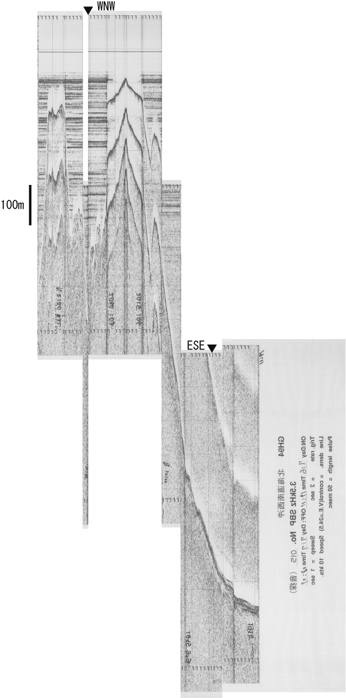 1013-2a