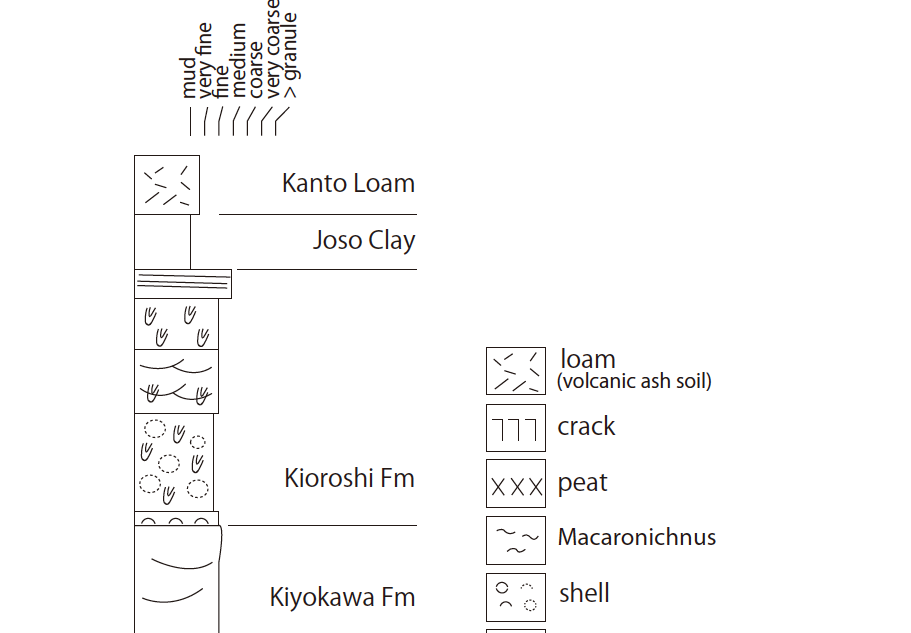 露頭柱状図データ