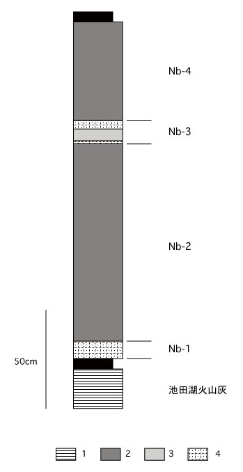 fig17b