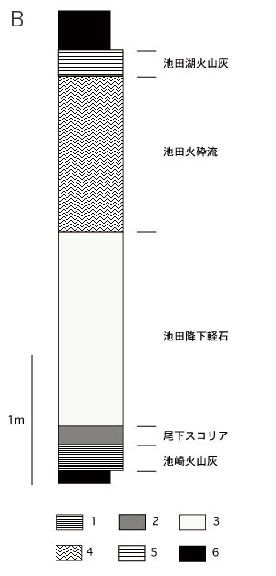 fig5b