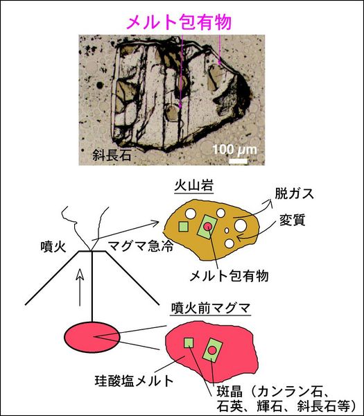 ファイル:Meltinclusion2 j.jpg