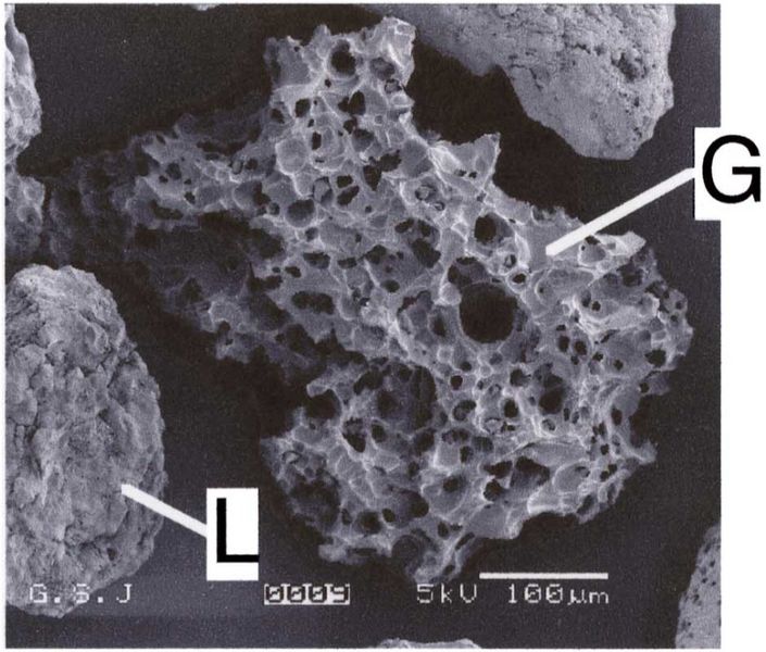 ファイル:2000g-SEM.jpg