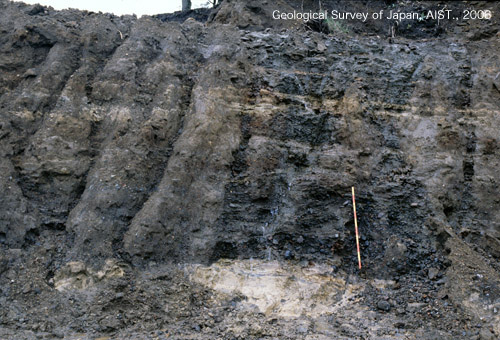 堆積物 (たいせきぶつ) JapaneseEnglish Dictionary JapaneseClass.jp