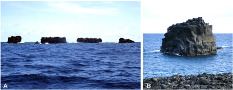 fig6